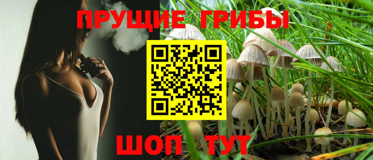 Галлюциногенные грибы Psilocybine cubensis  Галлюциногенные грибы Psilocybe  как найти наркотики  Вход с VPN  Добрянка 