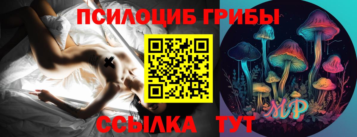 Псилоцибиновые грибы MAGIC MUSHROOMS Добрянка