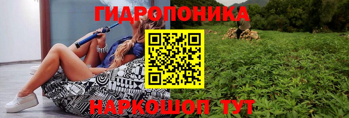 Добрянка  Каннабис индика  Вход с VPN  Бошки Шишки LSD WEED  Каннабис OG Kush 